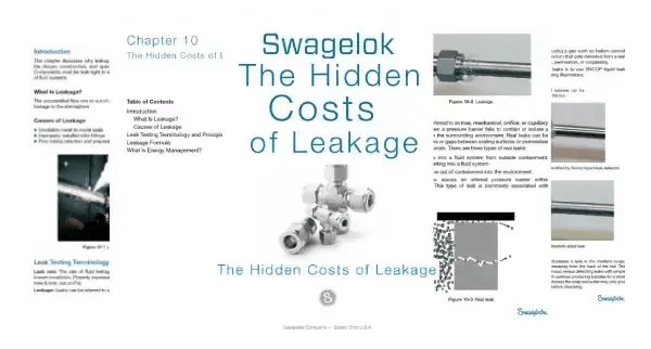 Swagelok Tubing